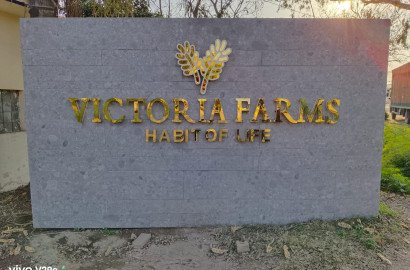 Victoria Farms !